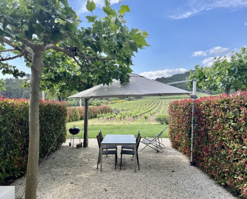 Grenache 9 - IMG_E3780 - Edit