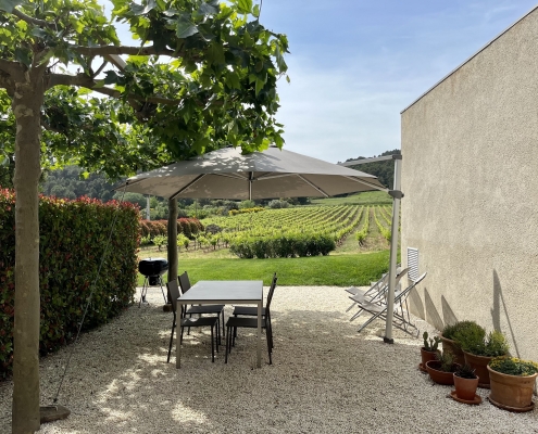 Muscat 9 - IMG_E3702 - Edit