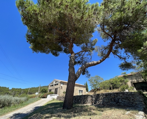 Over het domein 1 - IMG_4582 - Edit