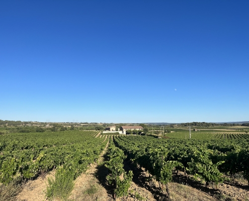 Over het domein 10 - IMG_4778 - Edit