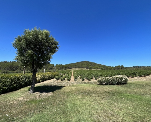 Over het domein 3 - IMG_4581 - Edit