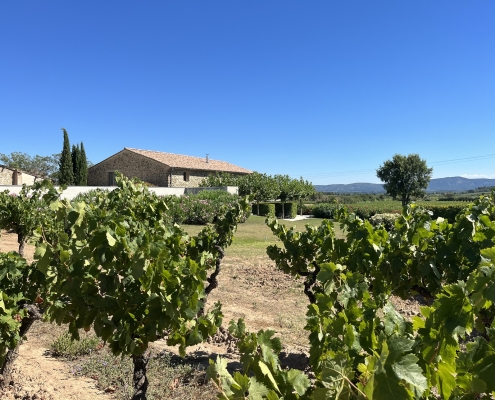 Over het domein 9 - IMG_4727 - Edit